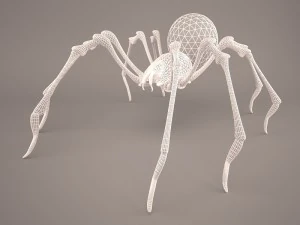Phoneutria spider 3D Model