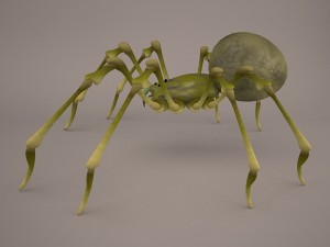 Phoneutria spider Model 3D
