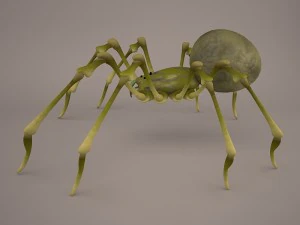 Phoneutria spider 3D Model