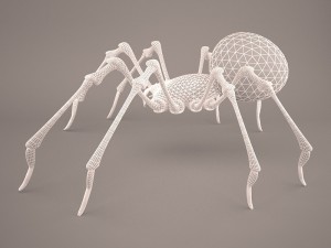 Phoneutria spider Model 3D