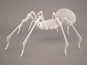 Phoneutria spider 3D Model