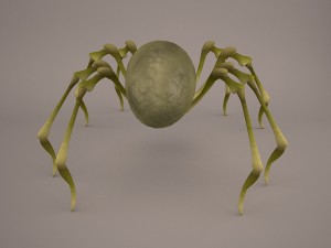 Phoneutria spider Model 3D