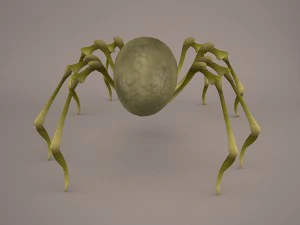 Phoneutria spider 3D Model