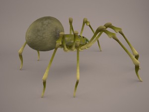 Phoneutria spider Model 3D