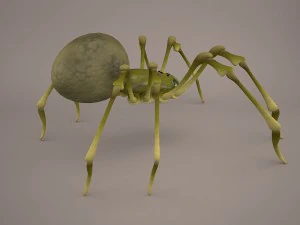 Phoneutria spider 3D Model