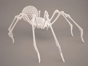 Phoneutria spider 3D Model