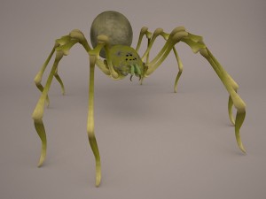 Phoneutria spider Model 3D