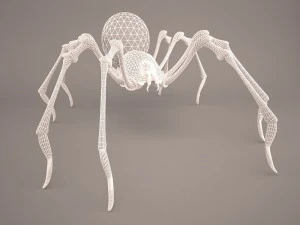 Phoneutria spider 3D Model