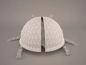 Cartoon lieveheersbeestje 3D Model