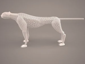 Leopard 3D Model