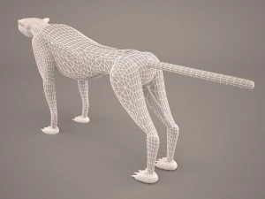 Leopard 3D Model