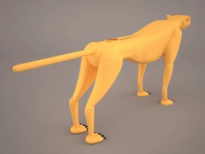 Leopard 3D Model
