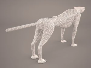Leopard 3D Model