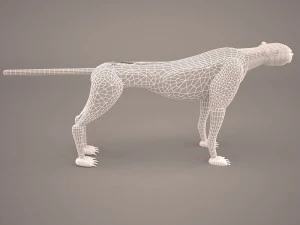 Leopard 3D Model