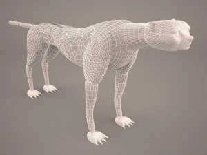 Leopard 3D Model