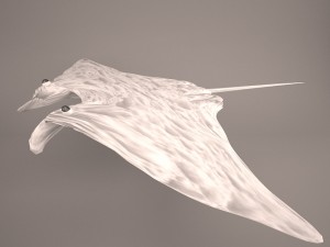 Manta ray 3Dモデル