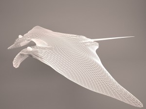 Manta ray 3D 모델
