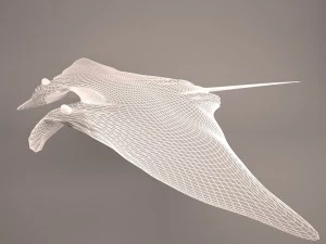 Manta ray 3D Model