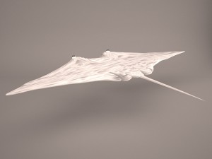 Manta ray 3D 모델