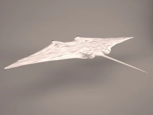 Manta ray 3D Model