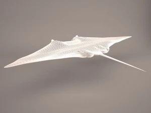 Manta ray 3D Model