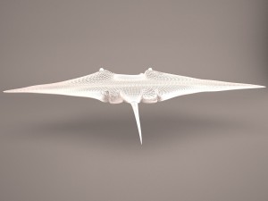 Manta ray 3D 모델