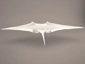 Manta ray 3D Model