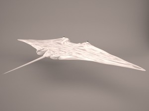Manta ray 3D 모델