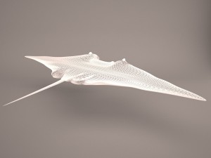 Manta ray 3D 모델