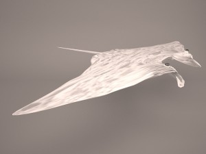 Manta ray 3D 모델