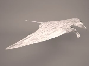 Manta ray 3D Model