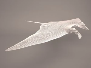 Manta ray 3D Model