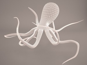 Cartoon octopus 3D Модель