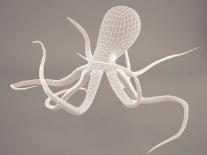 Cartoon octopus 3D Model