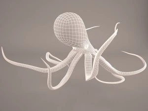 Cartoon octopus 3D Model