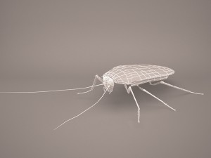 Roach 3Dモデル