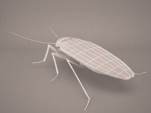 Roach 3Dモデル