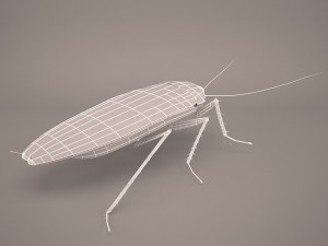Roach 3Dモデル