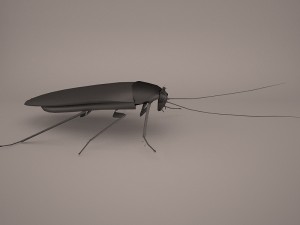 Roach 3Dモデル