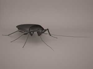 Roach 3Dモデル