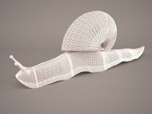 Snail 3D Модель