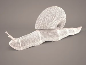 Snail 3D Model