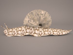 Snail 3D Модель