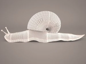 Snail 3D Model