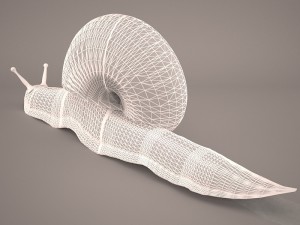 Snail 3D Модель