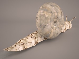 Snail 3D Модель