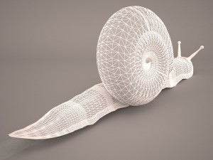 Snail 3D Модель