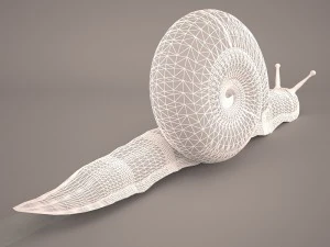 Snail 3D Model
