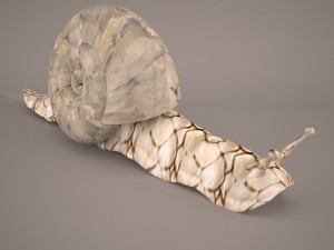 Snail 3D Модель