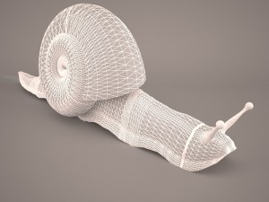 Snail 3D Модель